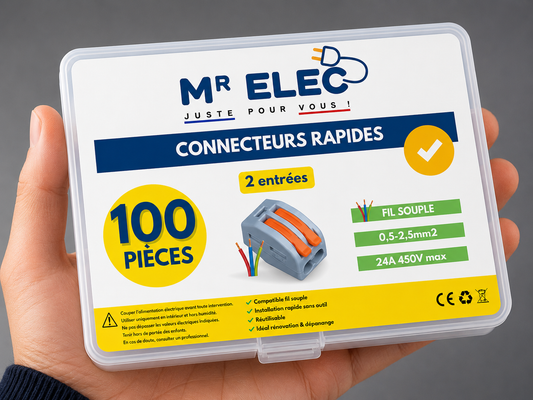Borne de Connexion Rapide 2 Entrées — Kit 100 (Fil Souple)