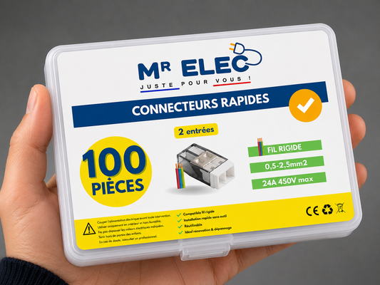 Borne de Connexion Rapide 2 Entrées — Kit 100 (Fil Rigide)